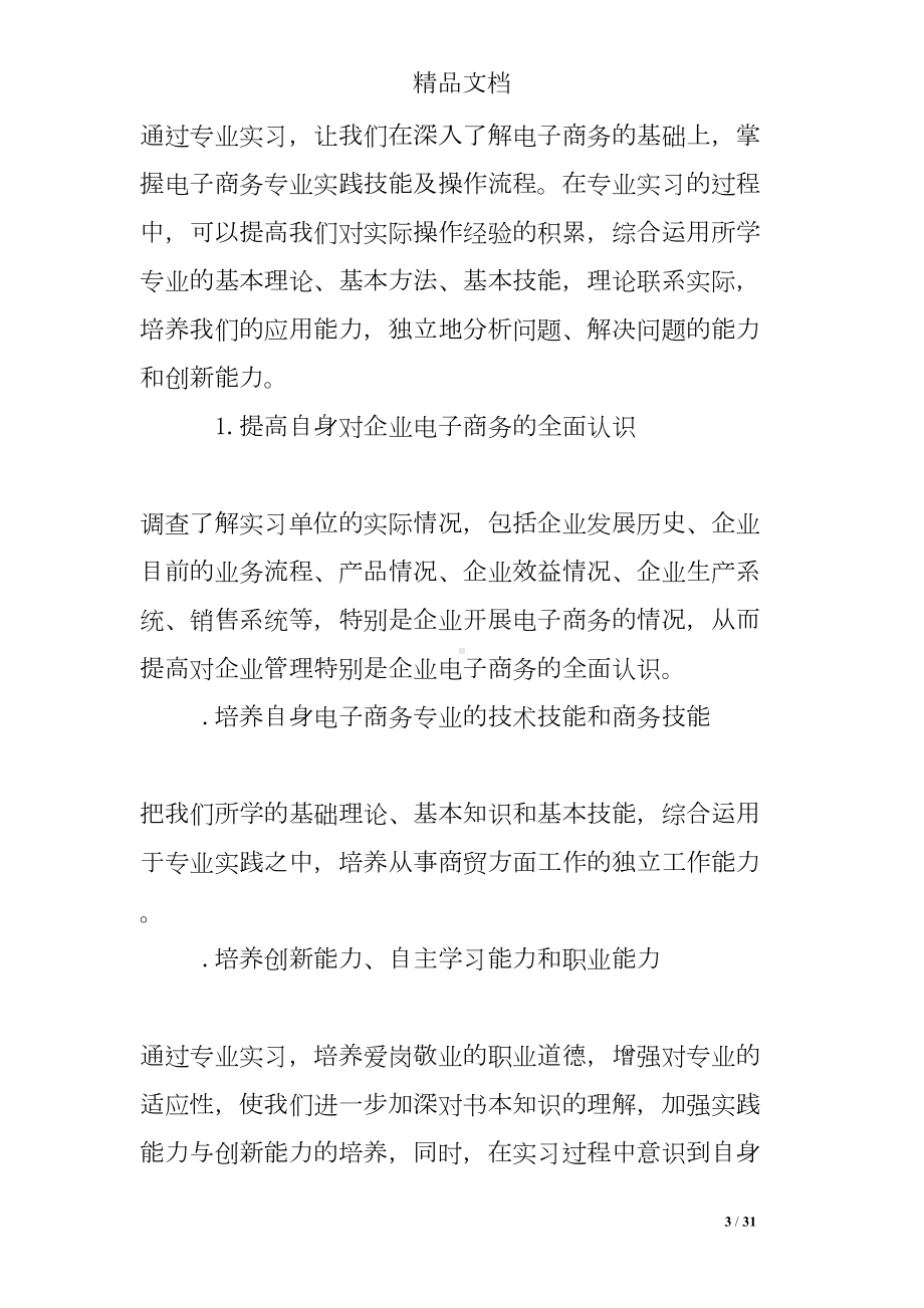 电子商务公司实习报告(DOC 31页).doc_第3页