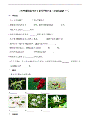 粤教版四年级下册科学期末复习知识点试题汇总-(练习)(DOC 11页).docx