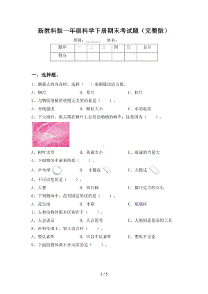 新教科版一年级科学下册期末考试题(完整版)(DOC 5页).doc