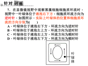 七上第二章科学复习课件.ppt