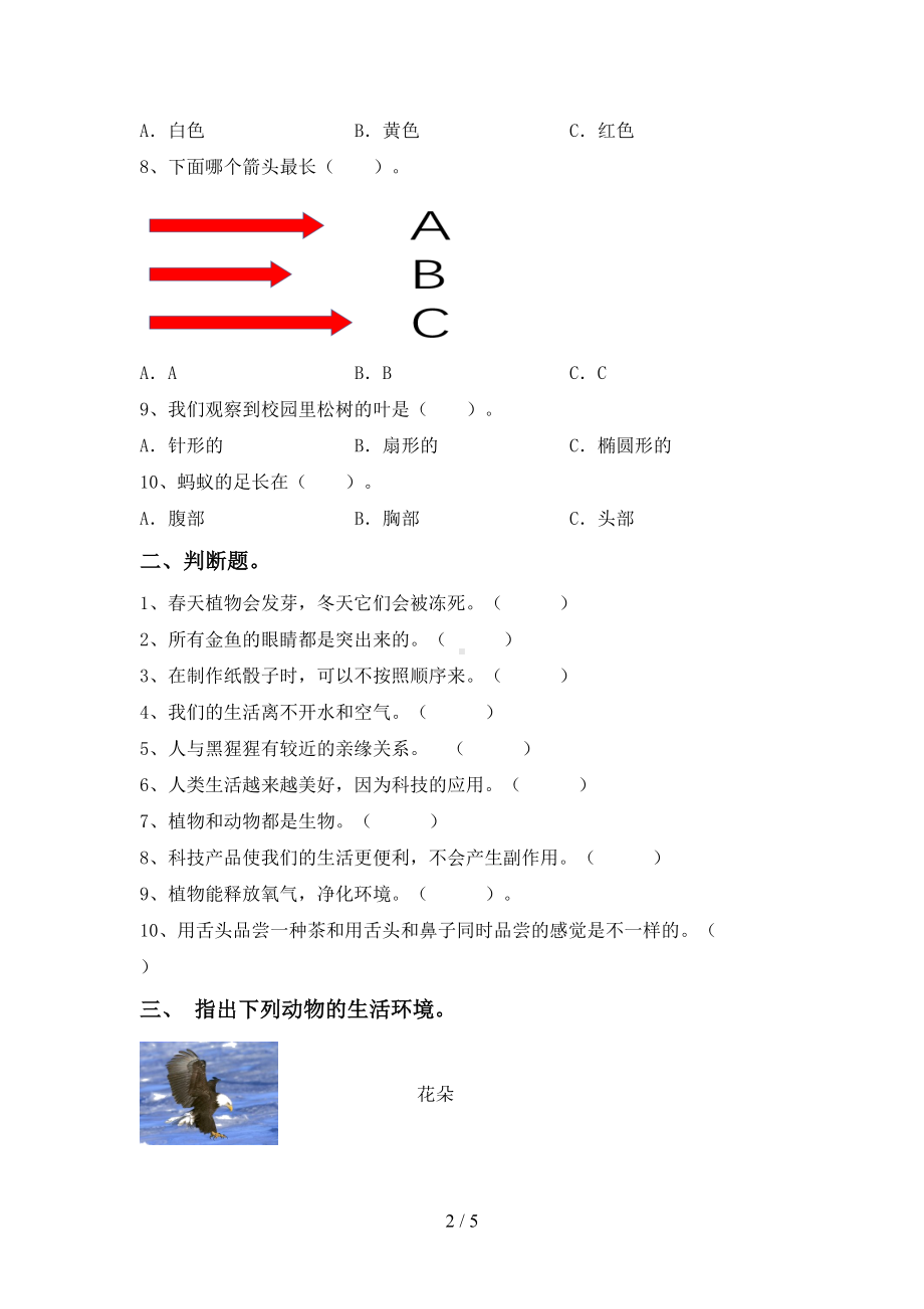 教科版一年级科学下册期末试卷及答案（新版）(DOC 5页).doc_第2页