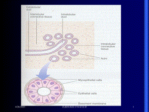 乳腺疾病医学知识宣讲课件.ppt