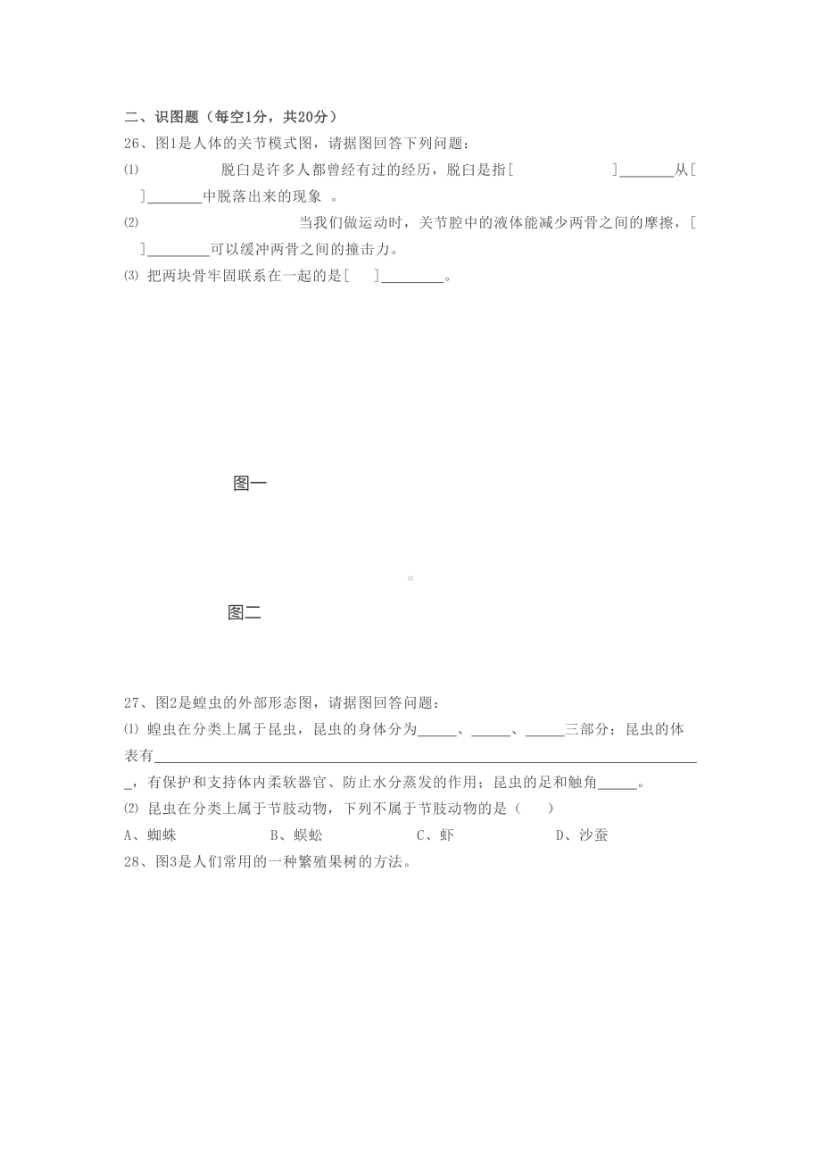 生物八年级上册期末试卷及答案(DOC 6页).docx_第3页