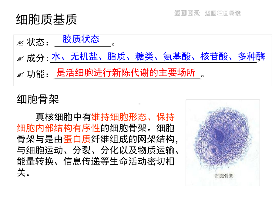 32细胞器系统内的分工合作-全知识点课件.ppt_第3页