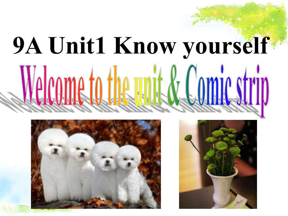 9AUnit1Welcome教学讲解课件.ppt_第1页