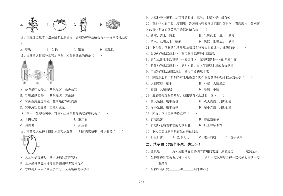 新苏教版七年级生物下册期末试卷及答案（汇总）(DOC 6页).doc_第2页