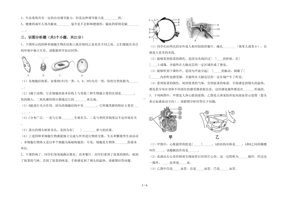 新苏教版七年级生物下册期末试卷及答案（汇总）(DOC 6页).doc_第3页