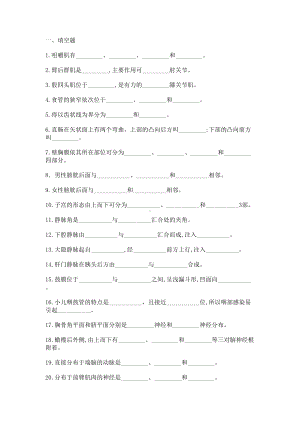 系统解剖学试题与答案(DOC 16页).doc