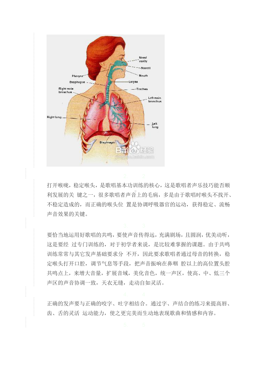 歌唱技巧与发声方法练习.doc_第2页