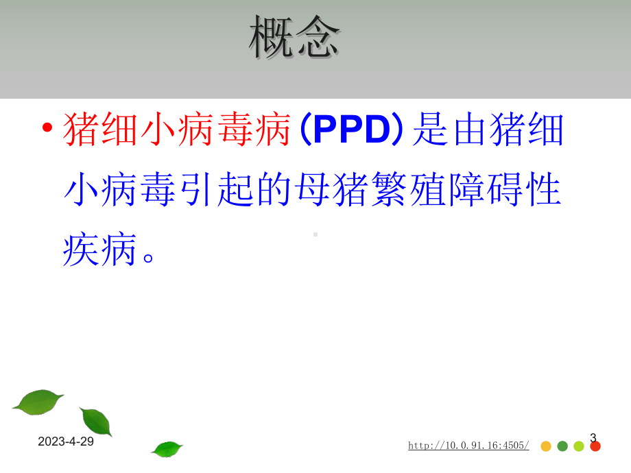 1猪细小病毒病课件.ppt_第3页