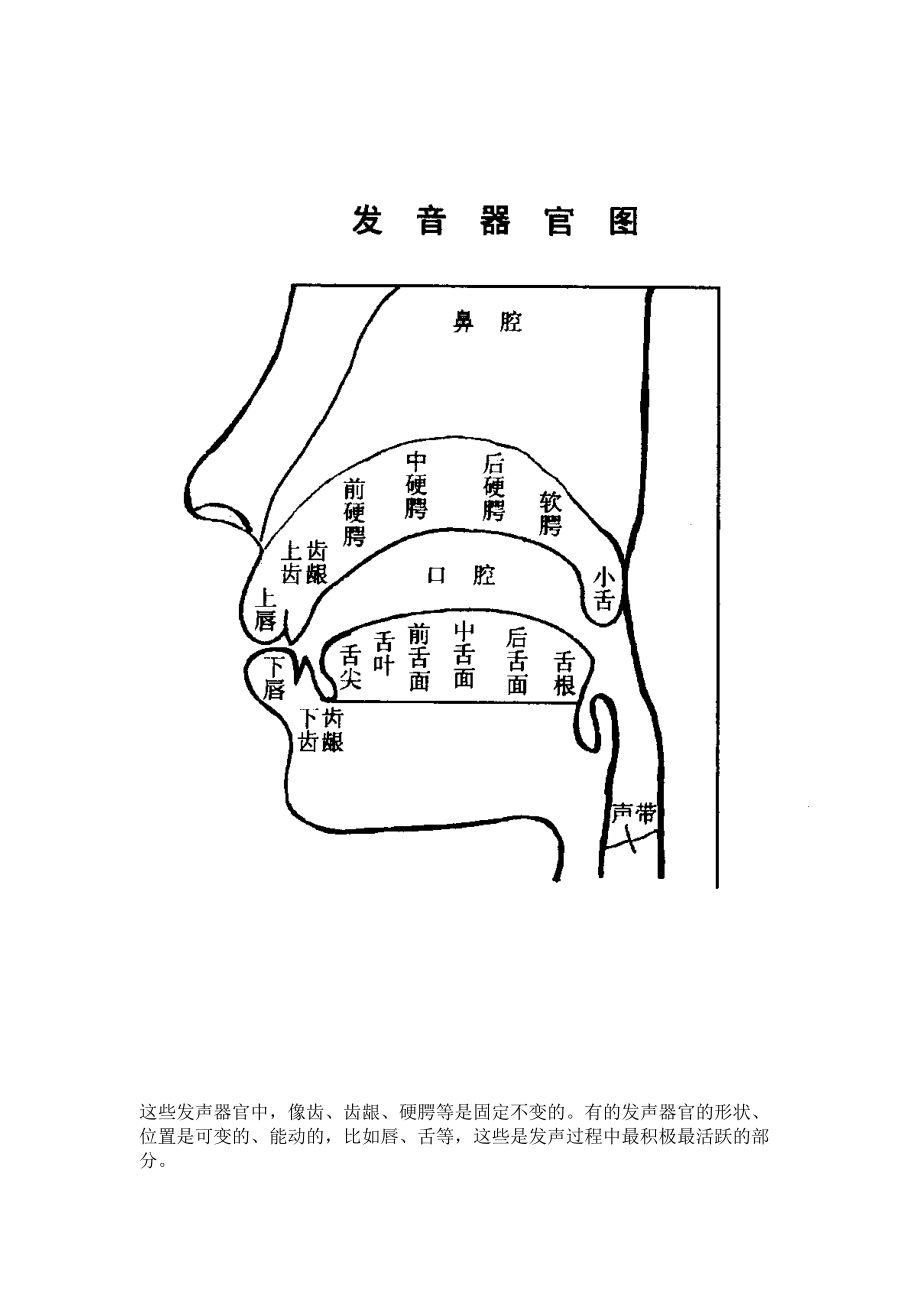 普通话教案第三章-声母剖析(DOC 15页).doc_第2页