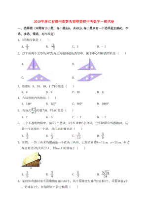 浙江省温州市2019年中考数学一模试卷(含解析)(DOC 22页).docx