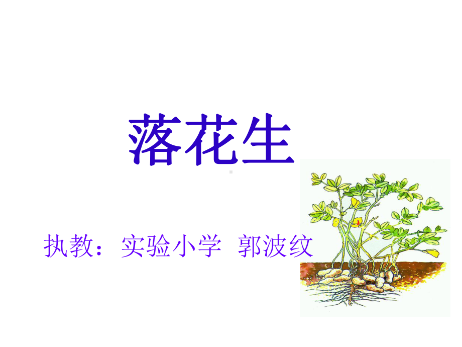 《落花生》教学讲解课件.ppt_第1页