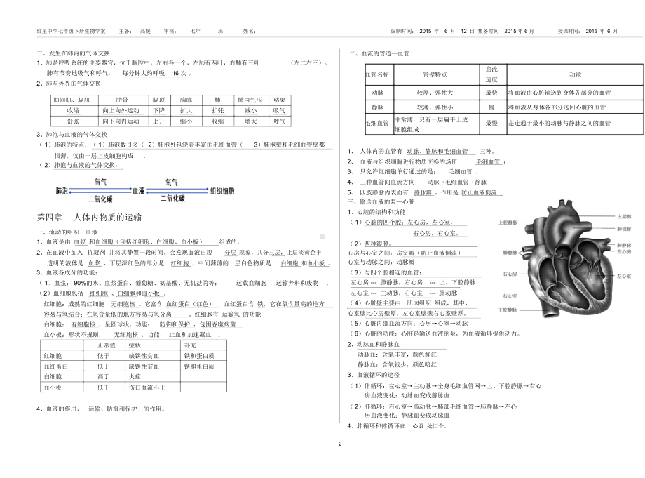 新人教版七年级生物下册总复习知识点(DOC 4页).docx_第2页