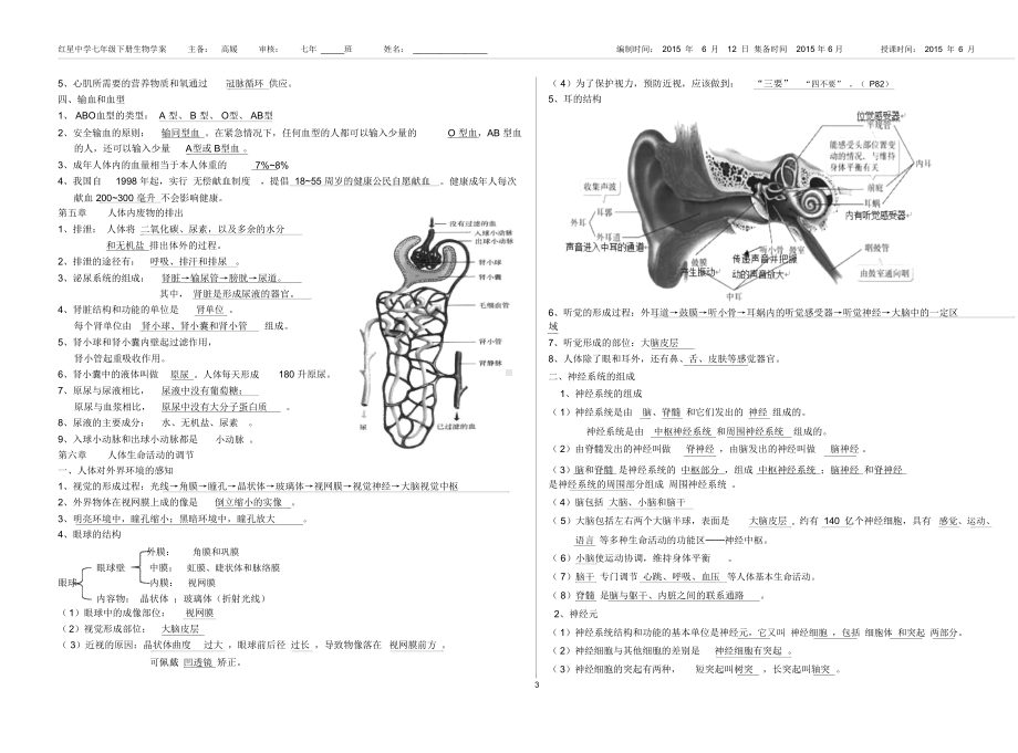 新人教版七年级生物下册总复习知识点(DOC 4页).docx_第3页