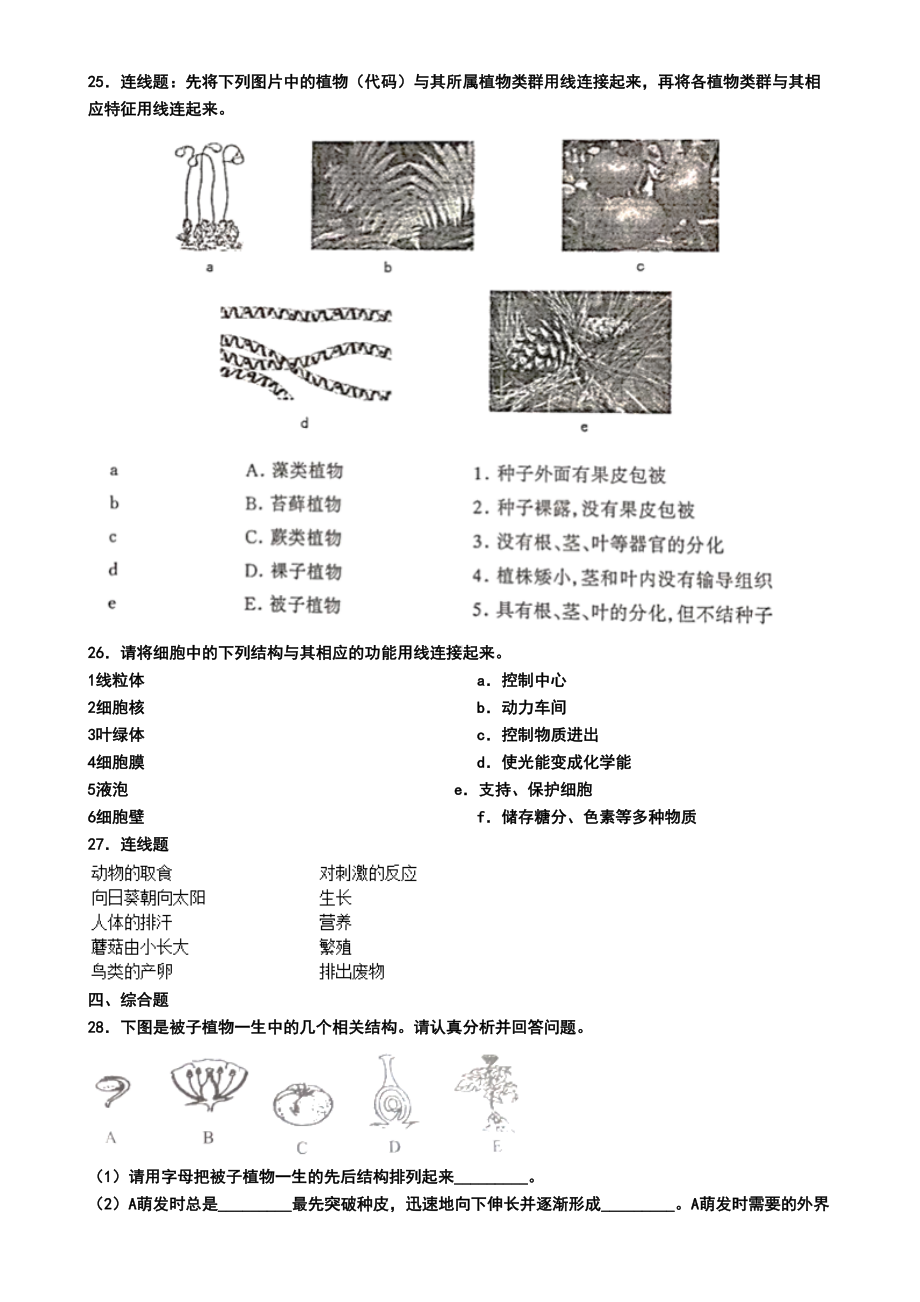 深圳市2019年七年级上学期生物期末考试试题(模拟卷一)(DOC 6页).doc_第3页