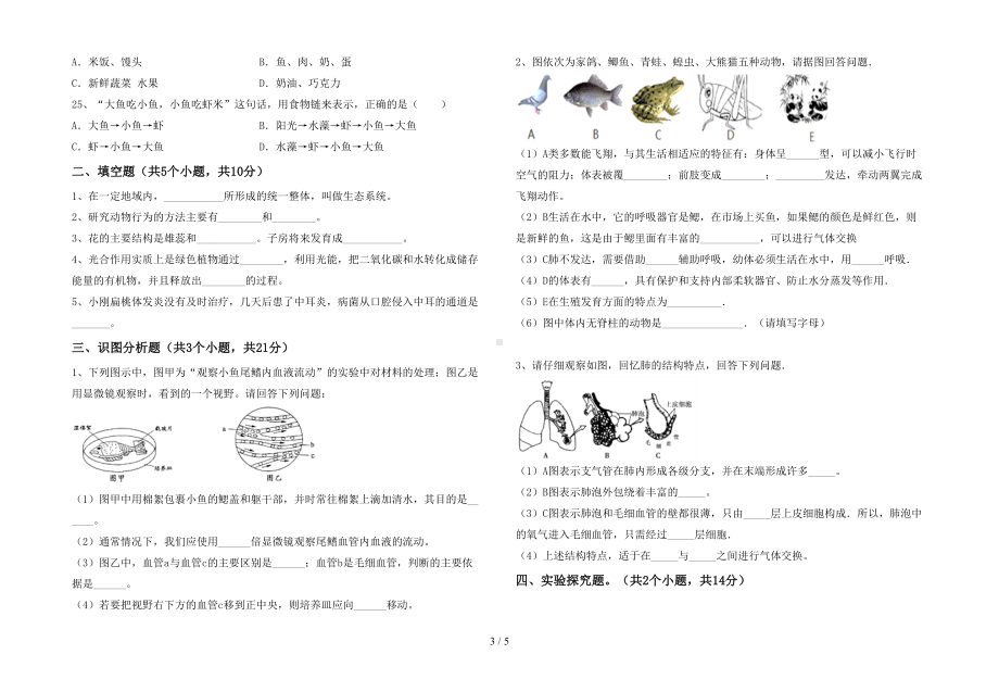 新人教版七年级下册《生物》期末考试卷及答案（汇总）(DOC 5页).doc_第3页