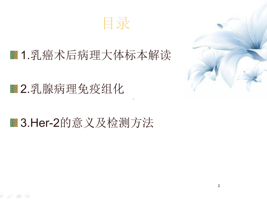 乳腺癌术后病理报告的解读教学课件.ppt_第2页