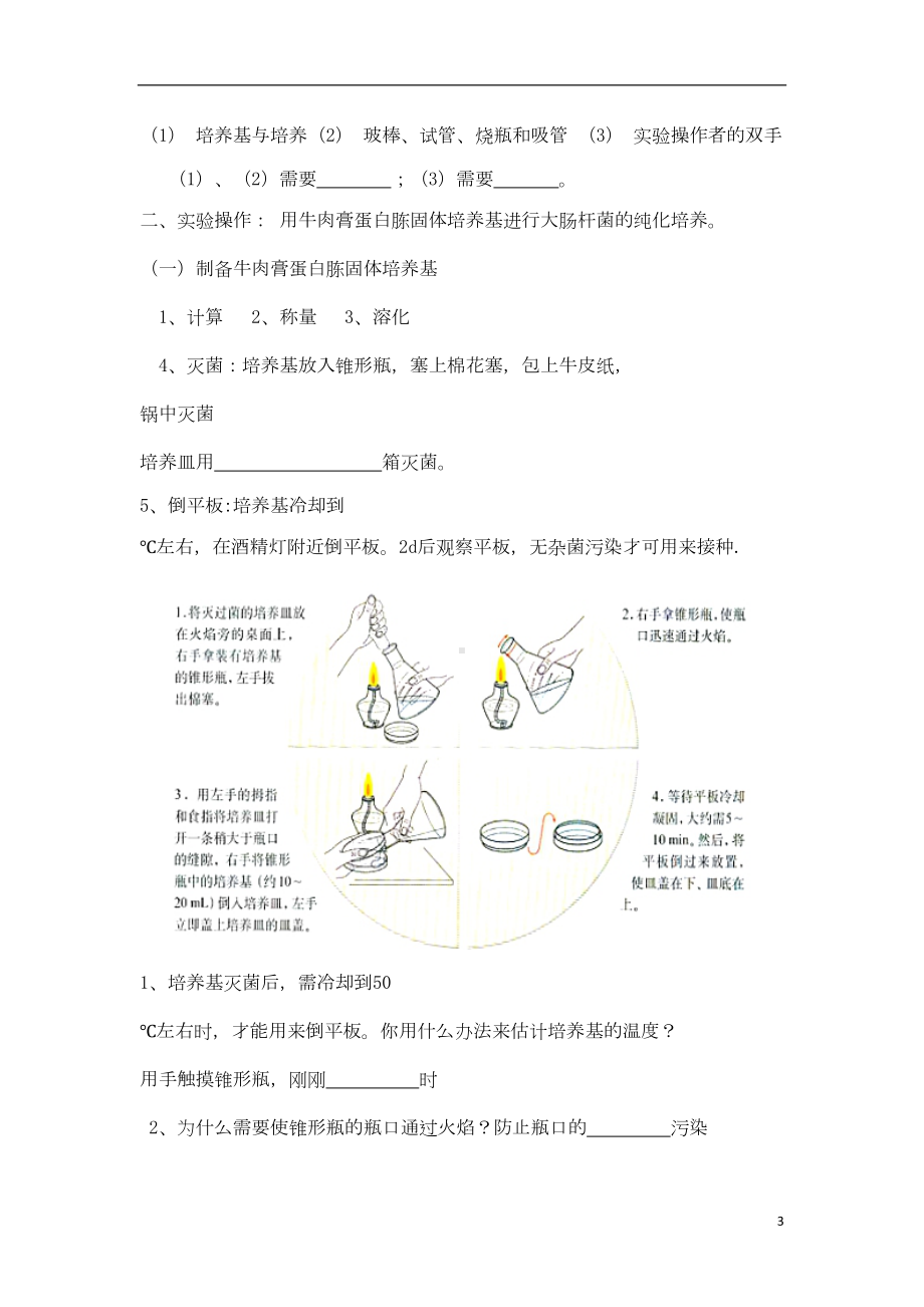 高中生物-专题二-微生物的培养与应用导学案新人教版1-(DOC 12页).doc_第3页