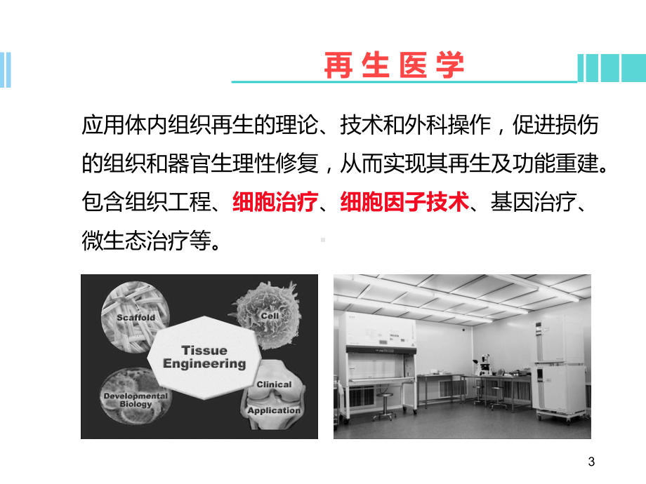 医学课件-应用干细胞技术治疗糖尿病足教学课件.ppt_第3页