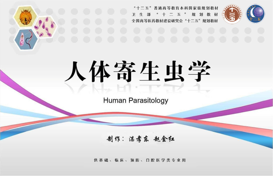 寄生虫-丝虫课件.ppt_第2页