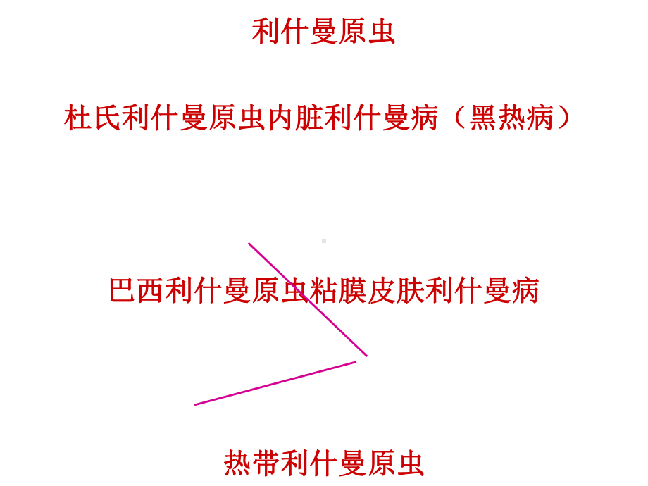 利什曼原虫杜氏利什曼原虫内脏利什曼病课件.ppt_第1页