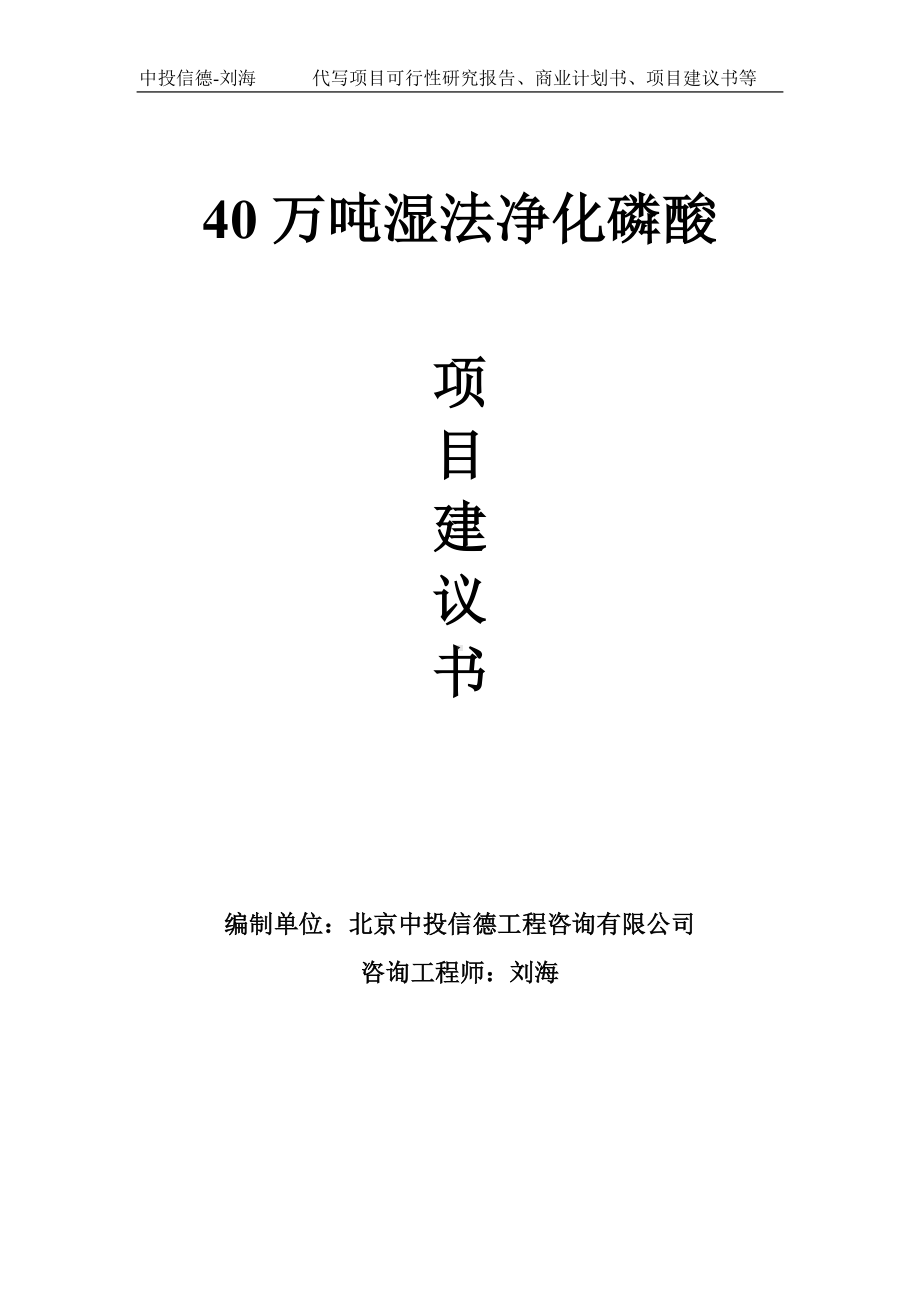 40万吨湿法净化磷酸项目建议书-写作模板.doc_第1页