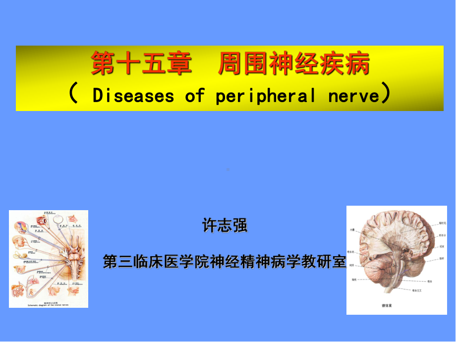 医学课件-周围神经疾病学习教学课件.ppt_第1页