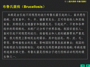 布鲁氏菌病Brucellosis课件.ppt