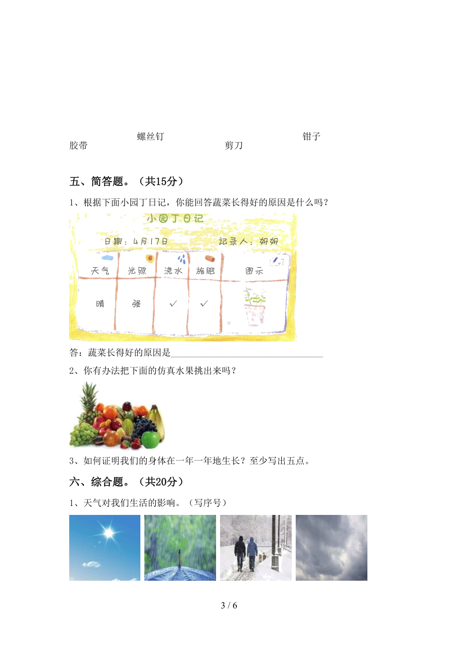 教科版二年级科学下册期末考试题及答案（完整版）(DOC 6页).doc_第3页