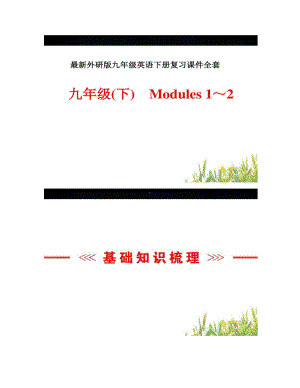 最新外研版九年级英语下册复习课件全套(DOC 25页).doc