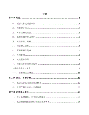 青岛测试仪器仪表项目可行性研究报告(DOC 65页).docx