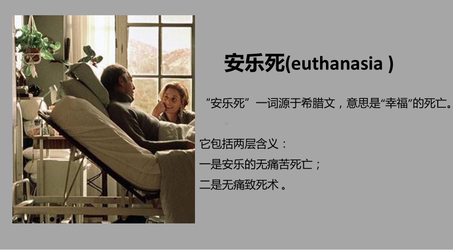 安乐死教学讲解课件1.ppt_第2页