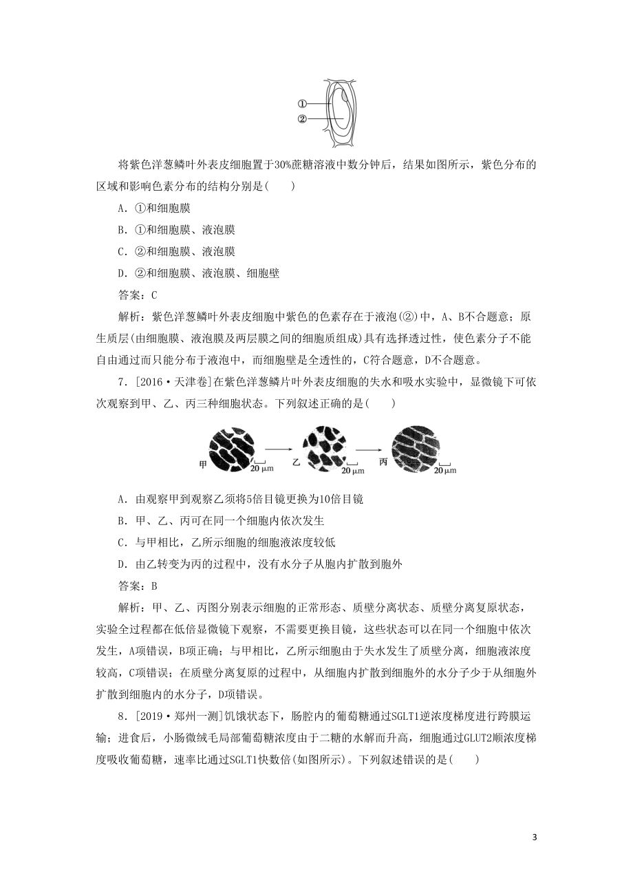 高考生物复习题物质跨膜运输的实例和方式含解析(DOC 19页).doc_第3页