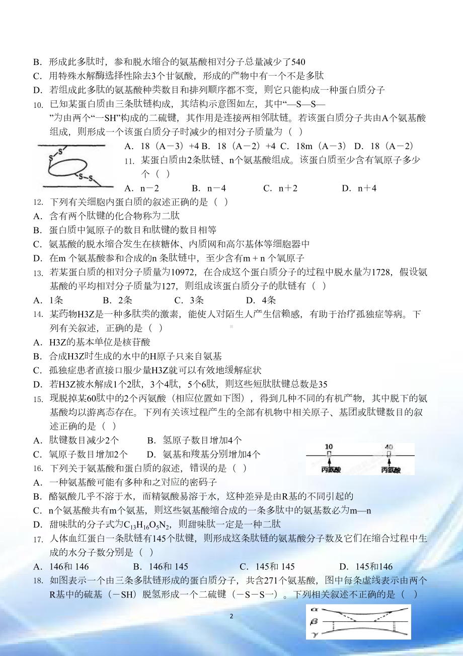 蛋白质相关计算试题(带解析)(DOC 6页).doc_第2页