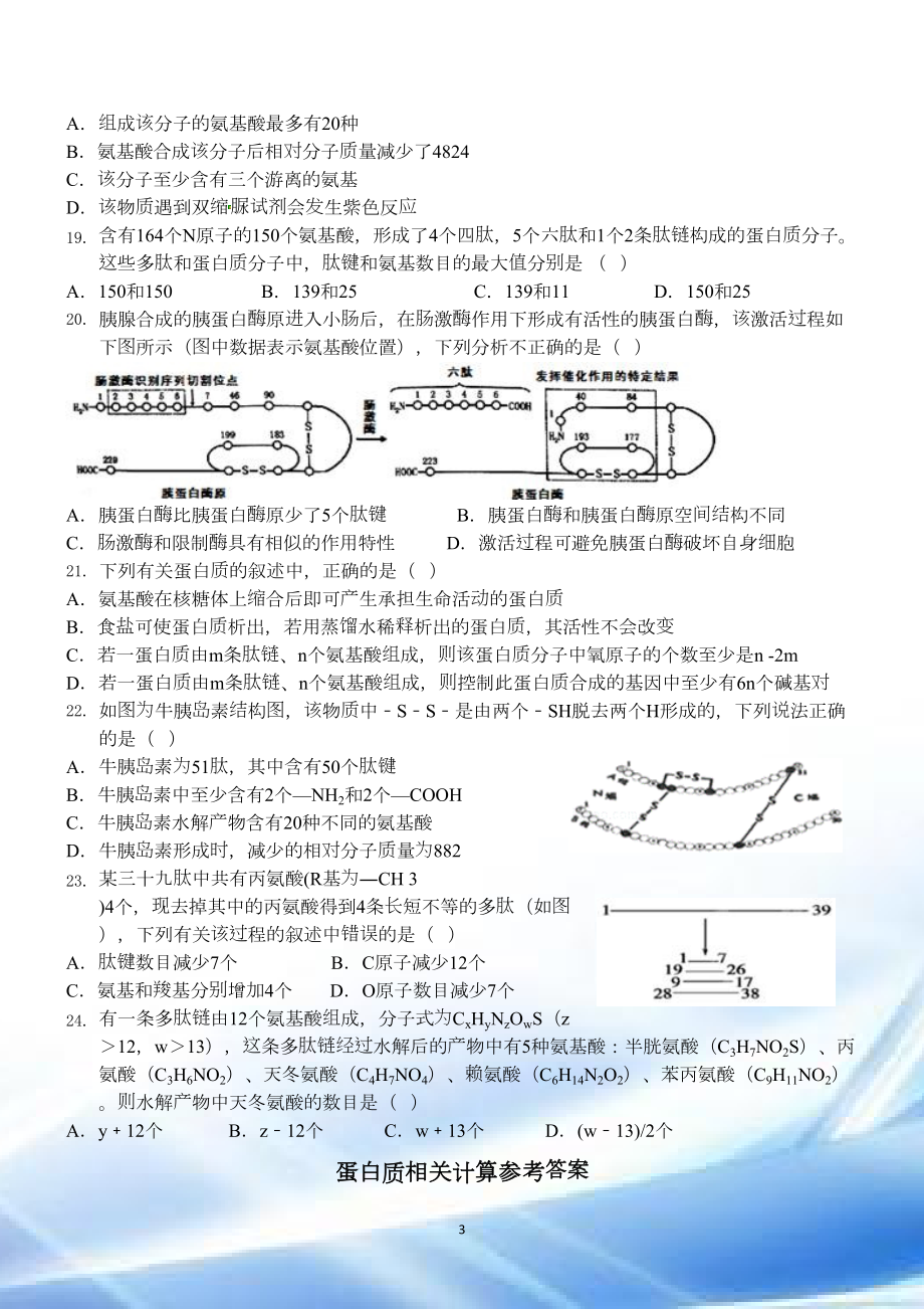 蛋白质相关计算试题(带解析)(DOC 6页).doc_第3页