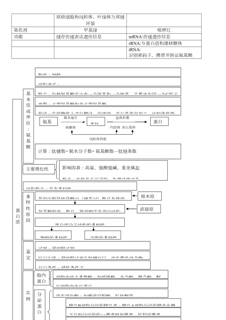 高中生物必修一知识点总结复习提纲非常全面清晰概念图(DOC 13页).doc_第3页