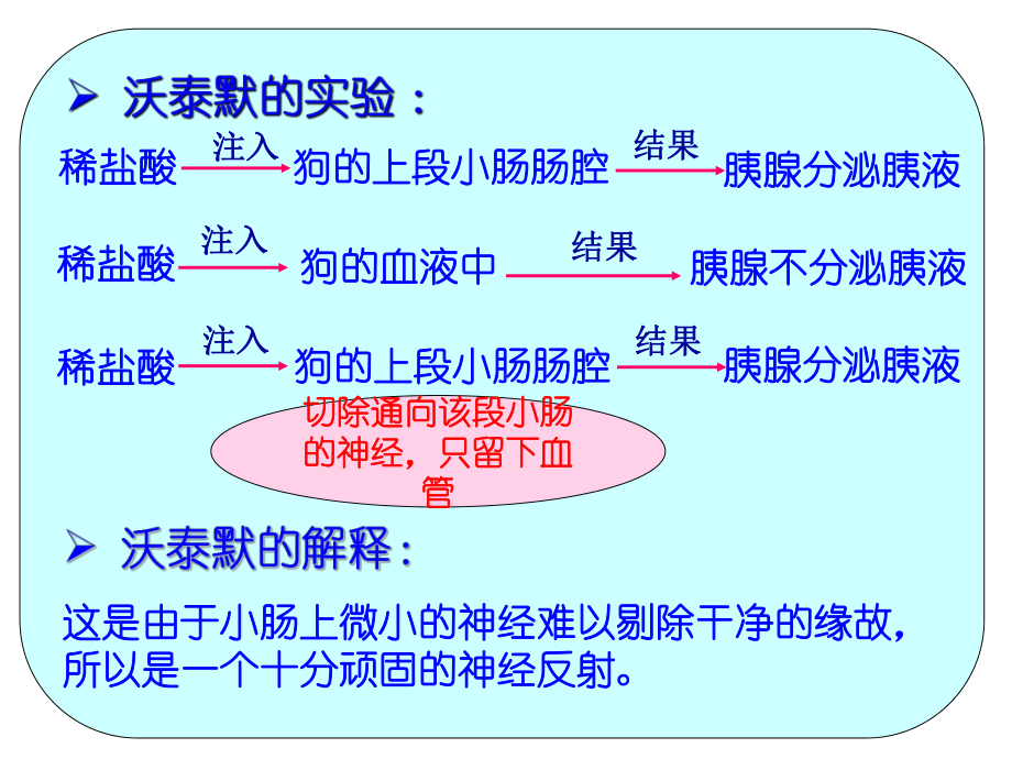 在血糖调节的过程中课件.ppt_第3页