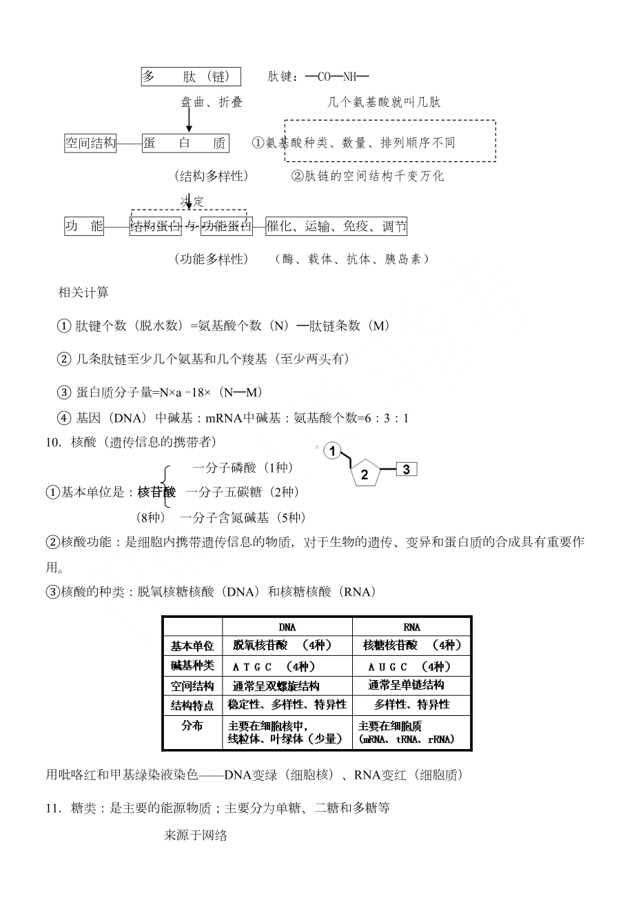 高一生物必修一知识点整理(DOC 10页).doc_第3页