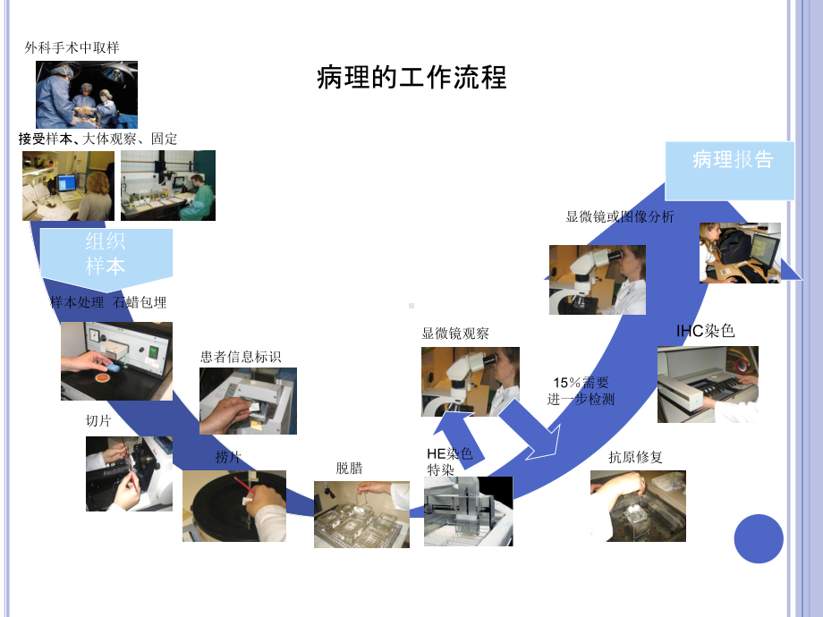 医学病理工作流程培训课件.ppt_第2页