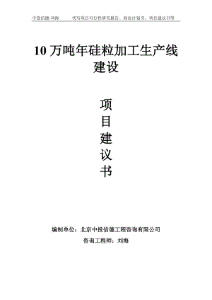 10万吨年硅粒加工生产线建设项目建议书-写作模板.doc