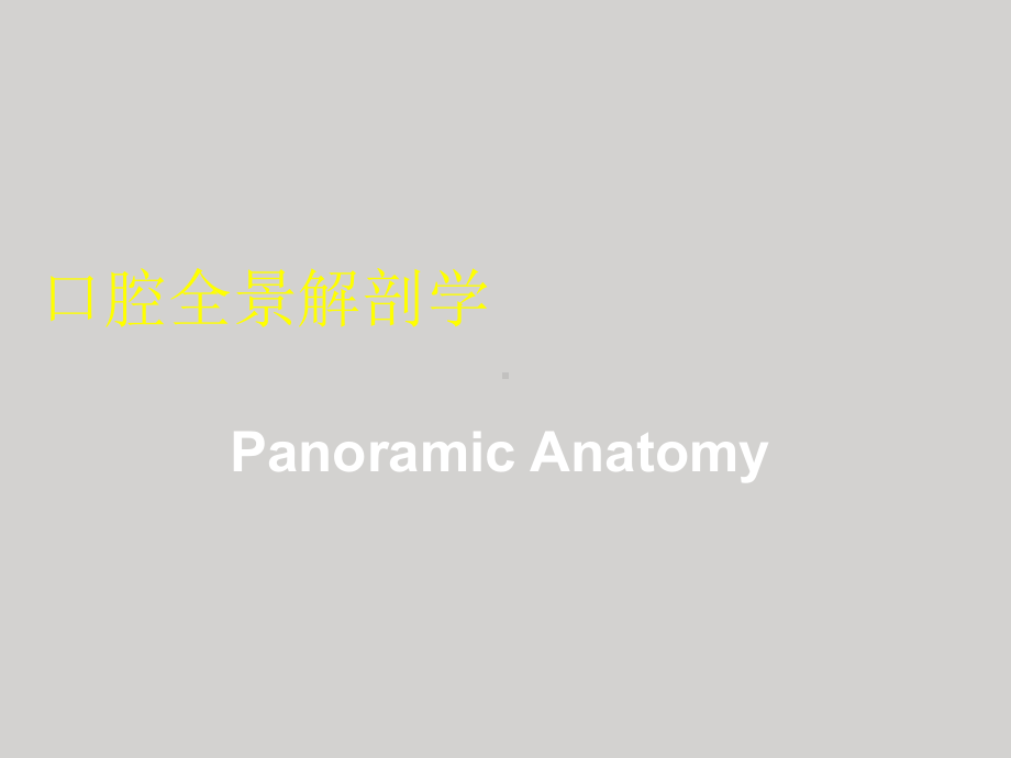 医学口腔全景解剖学专题培训课件.ppt_第2页