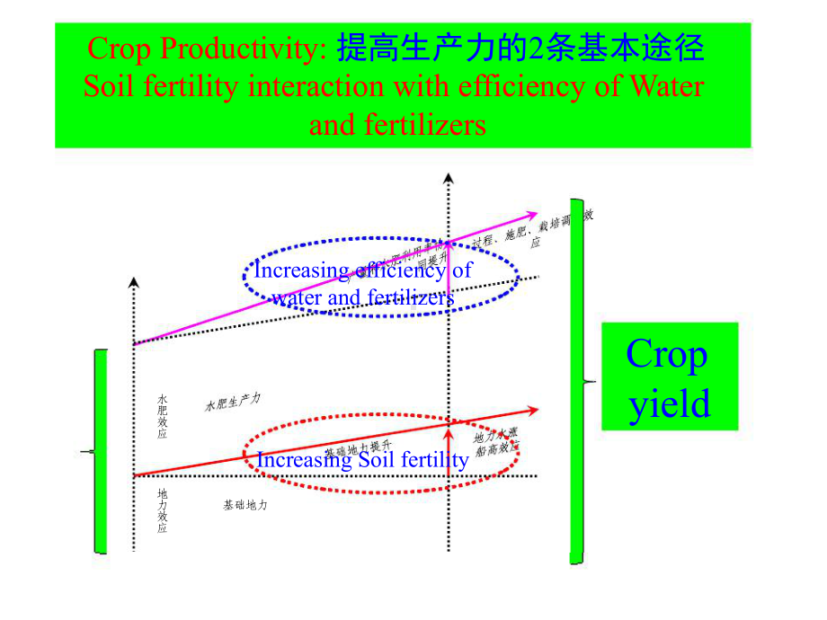 农田土壤肥力演变与培肥讲解课件.ppt_第3页