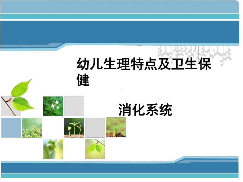 幼儿卫生保健消化系统-课件.ppt_第1页