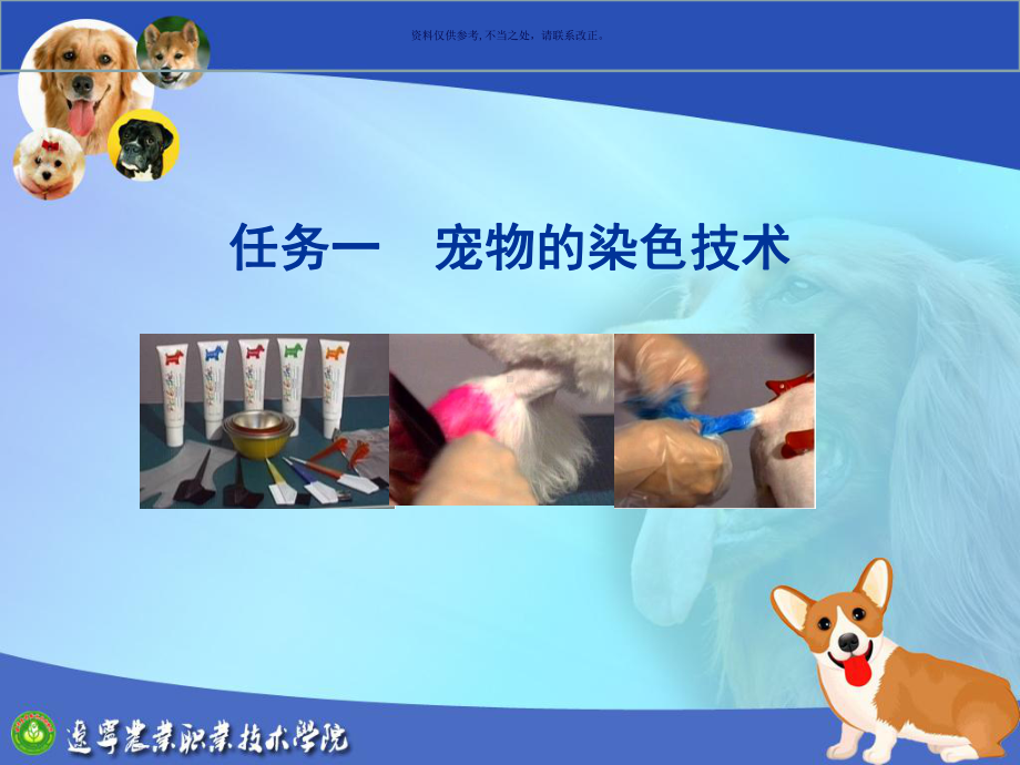 宠物美容与护理教材课件.ppt_第2页