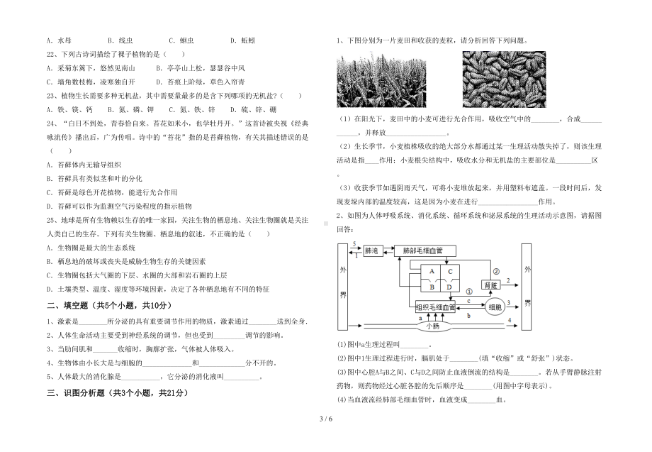 新人教版七年级下册《生物》期末试卷及答案（完整）(DOC 6页).doc_第3页