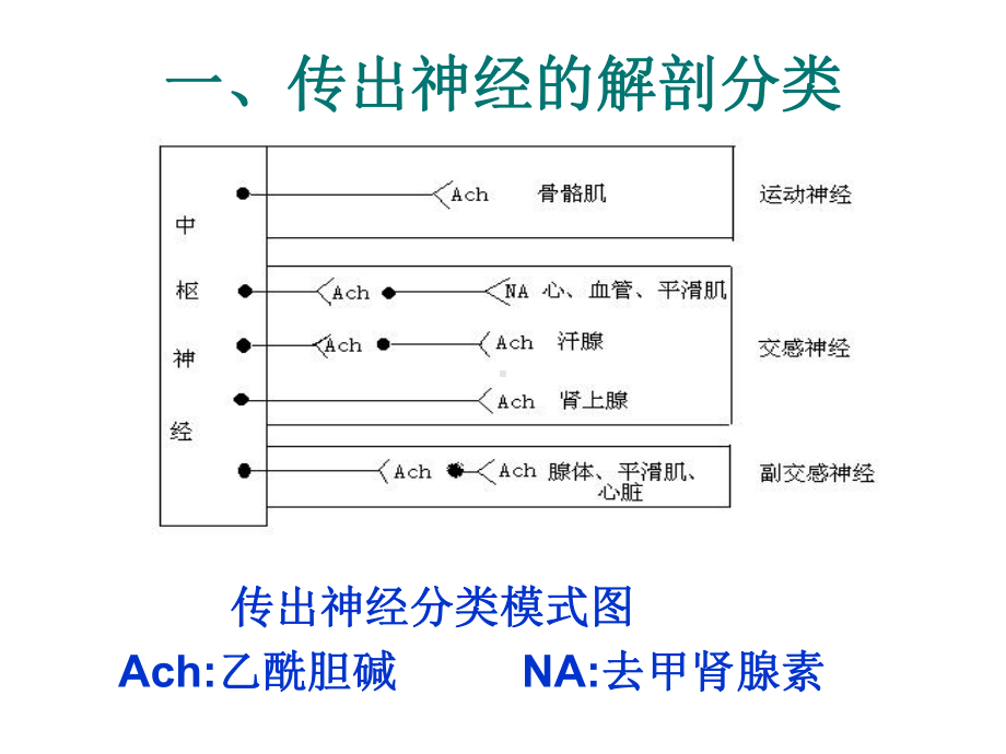 开角型单纯性青光眼2虹膜炎与扩瞳药阿托品交替使用课件.ppt_第3页