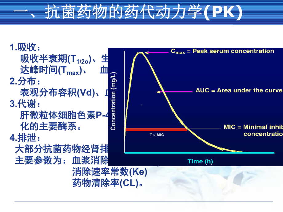 抗菌药物PKPD教材课件.ppt_第3页