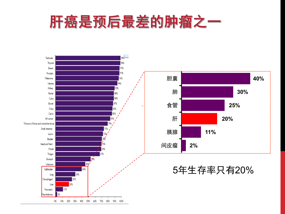 原发性肝细胞肝癌病案分析优质课件.ppt_第3页