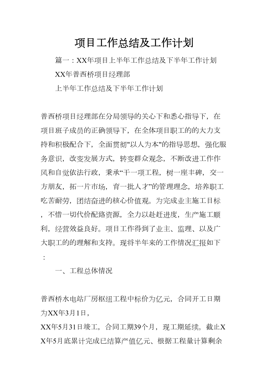 项目工作总结及工作计划(DOC 59页).docx_第1页